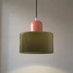 Modern Iron and Glass Pendant Ceiling Light
