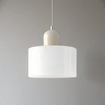 Modern Iron and Glass Pendant Ceiling Light