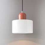 Modern Iron and Glass Pendant Ceiling Light