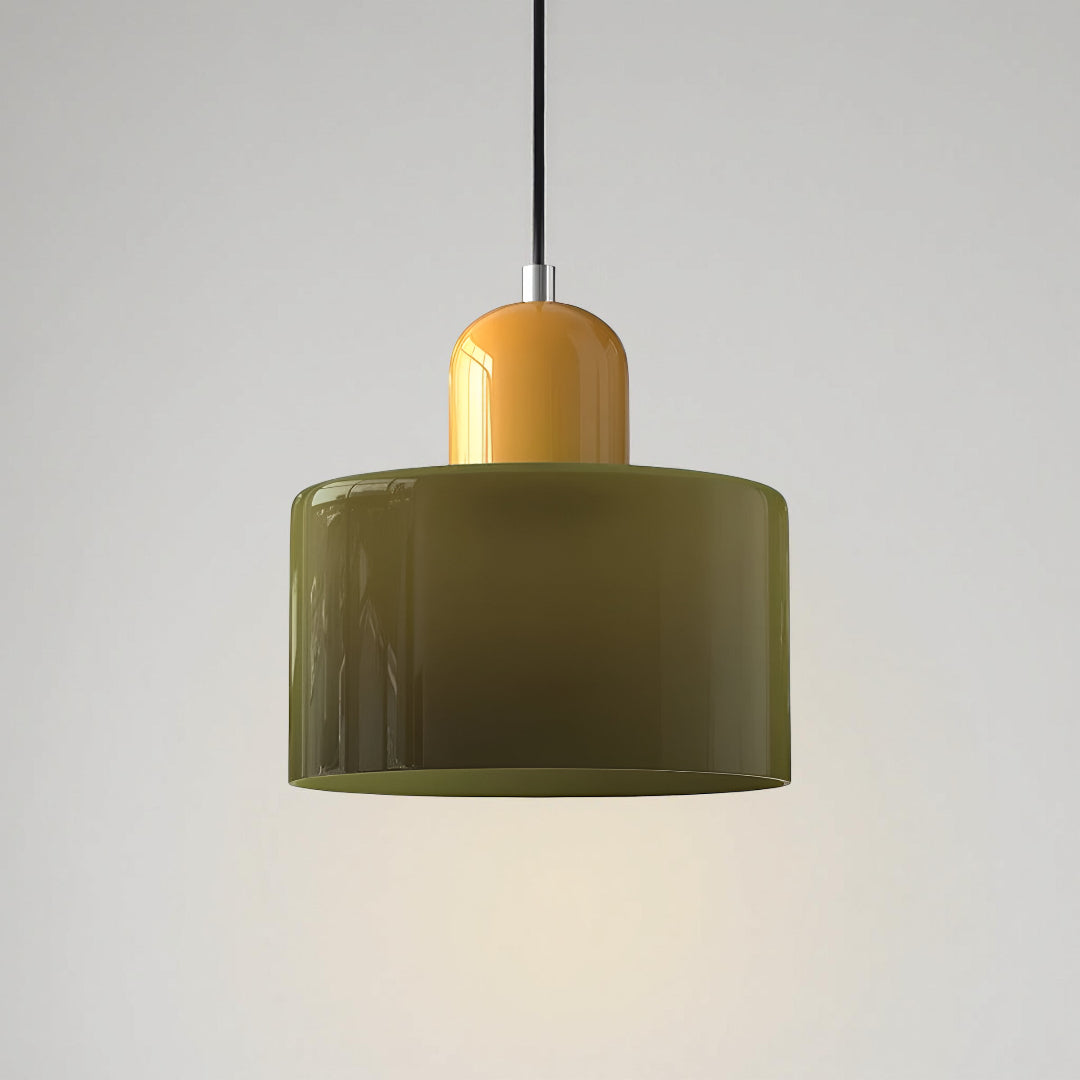 Modern Iron and Glass Pendant Ceiling Light