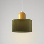Modern Iron and Glass Pendant Ceiling Light