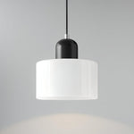 Modern Iron and Glass Pendant Ceiling Light
