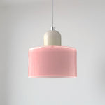 Modern Iron and Glass Pendant Ceiling Light