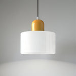 Modern Iron and Glass Pendant Ceiling Light