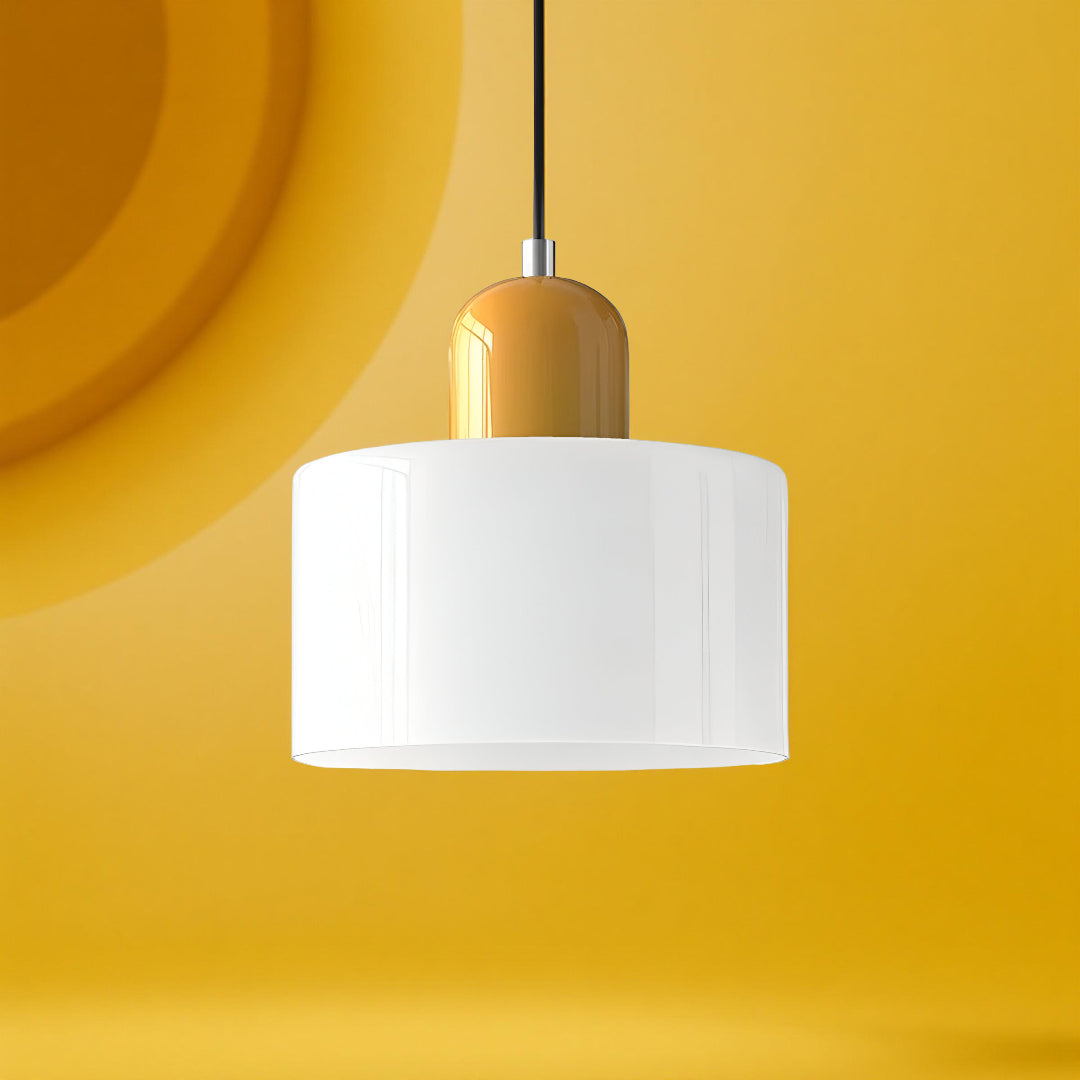 Modern Iron and Glass Pendant Ceiling Light