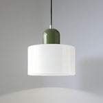 Modern Iron and Glass Pendant Ceiling Light