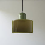 Modern Iron and Glass Pendant Ceiling Light