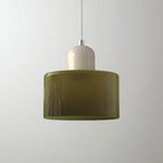 Modern Iron and Glass Pendant Ceiling Light