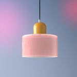 Modern Iron and Glass Pendant Ceiling Light