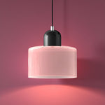 Modern Iron and Glass Pendant Ceiling Light