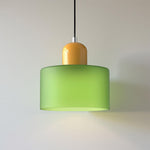 Modern Iron and Glass Pendant Ceiling Light