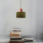 Modern Iron and Glass Pendant Ceiling Light