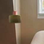 Modern Iron and Glass Pendant Ceiling Light