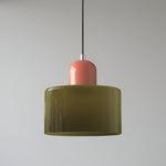 Modern Sculptural Hanging Lamp with Glass Shade
