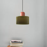 Modern Sculptural Hanging Lamp with Glass Shade