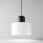 Modern Sculptural Hanging Lamp with Glass Shade