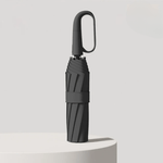 Automatic Compact Umbrella Designed for Strong Winds