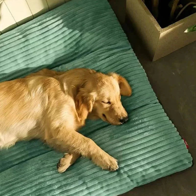Cozy Comfort Bed for Dogs