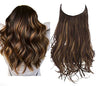 Dark Brown & Gold