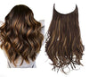 Dark Brown & Gold