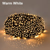 Warm White