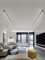 Minimalistic Ceiling Lamp with Scandinavian Design and High Brightness