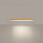 Minimalistic Ceiling Lamp with Scandinavian Design and High Brightness