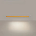 Minimalistic Ceiling Lamp with Scandinavian Design and High Brightness