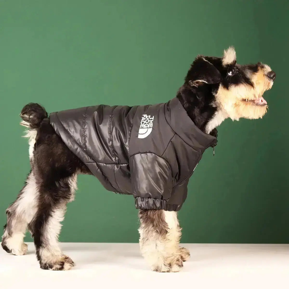 Dog Winter Jacket | Insulated and Windproof