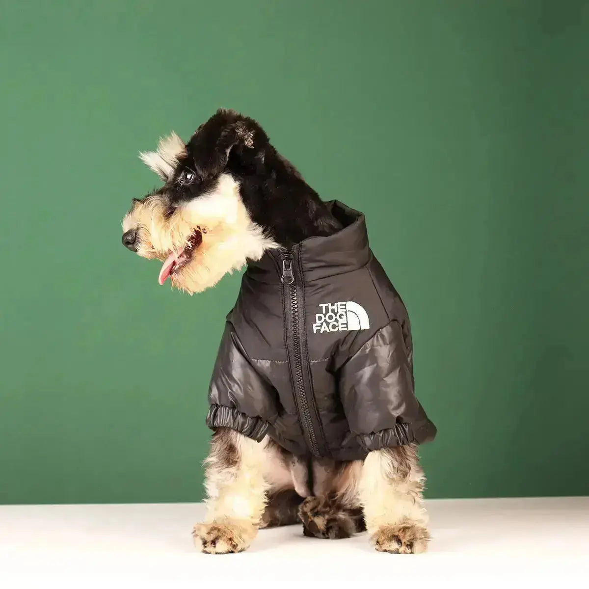 Dog Winter Jacket | Insulated and Windproof