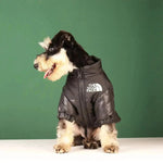 Dog Winter Jacket | Insulated and Windproof
