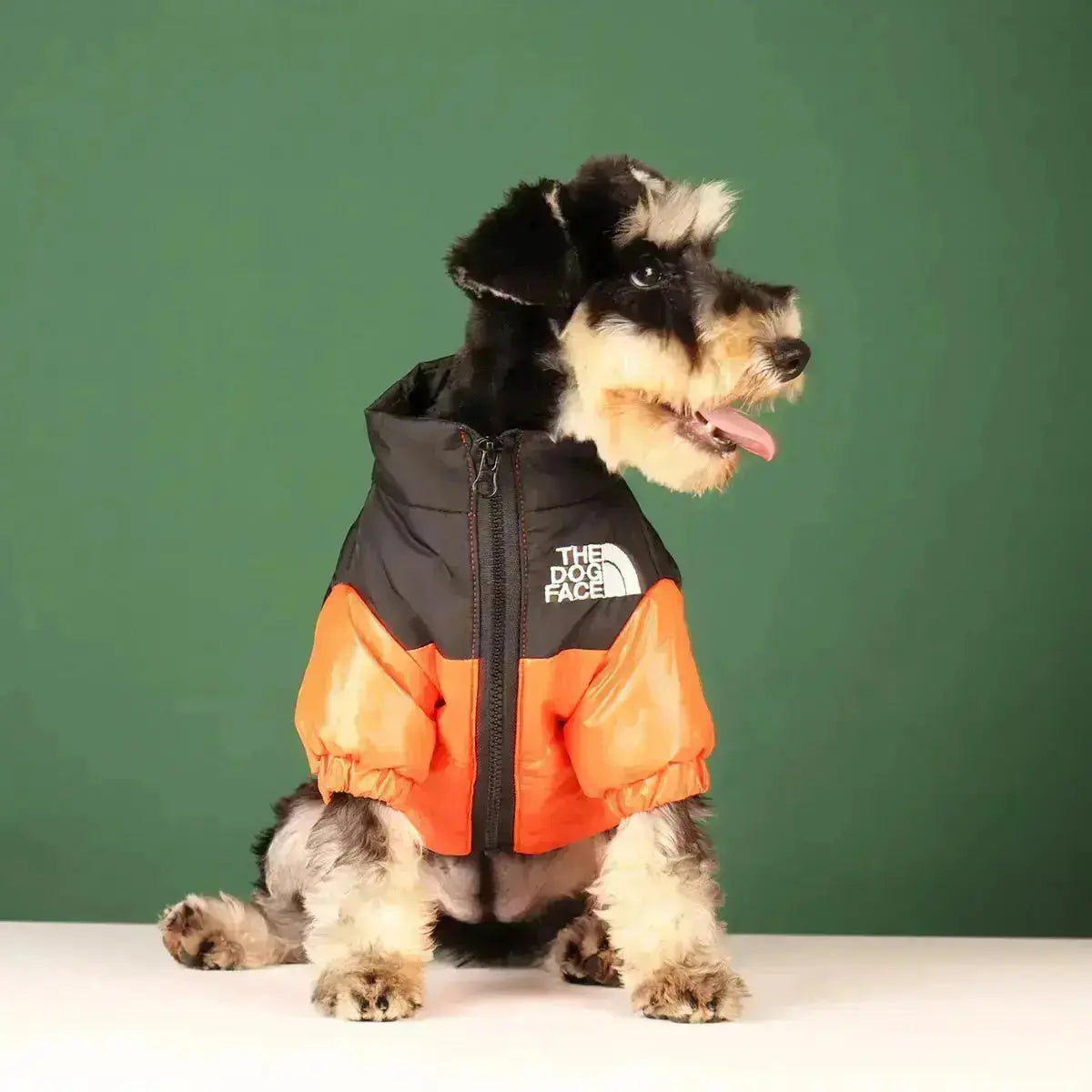 Dog Winter Jacket | Insulated and Windproof
