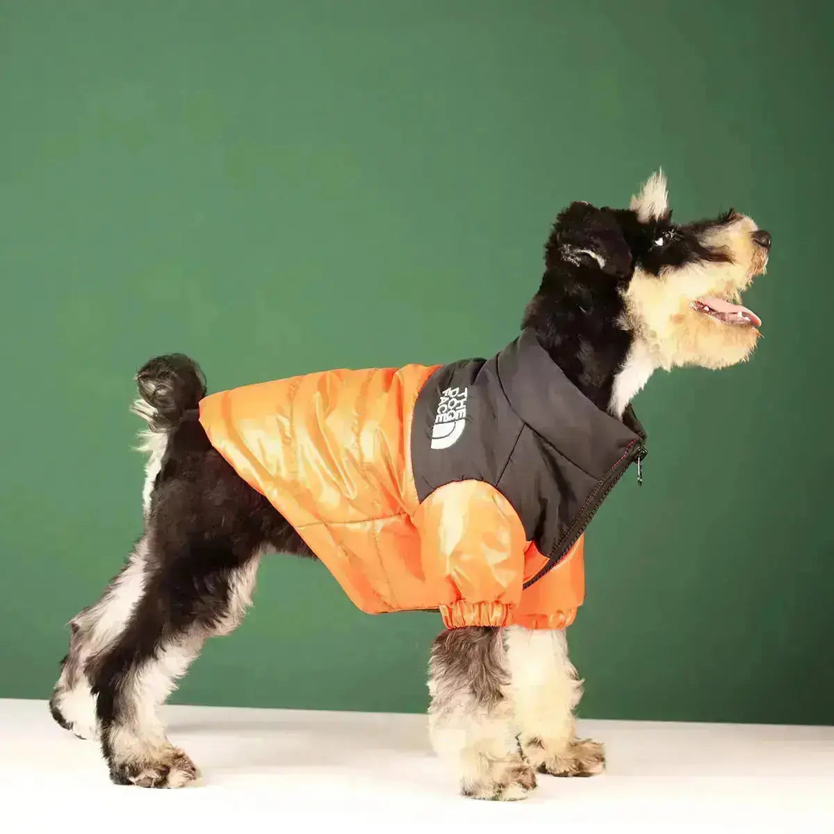 Dog Winter Jacket | Insulated and Windproof