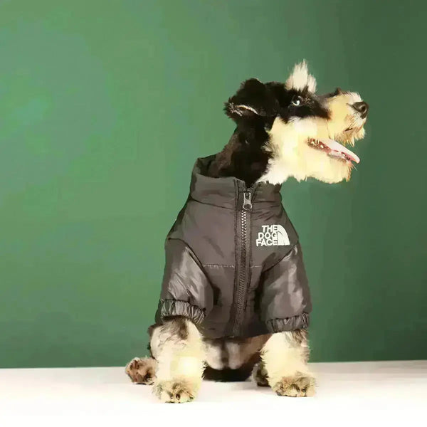 Dog Winter Jacket | Insulated and Windproof