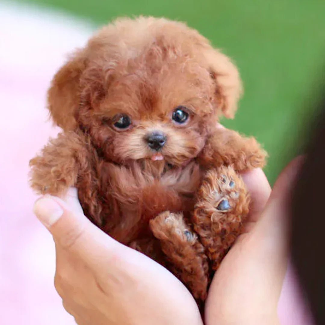 Realistic Movement Interactive Robot Puppy | Electronic Dog Toy for Children and Animal Enthusiasts