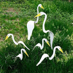 Garden Bird Flamingo