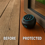 Pantry Moth Fogger | Fast-Acting Full-Room Treatment for Moths, Larvae & Eggs in Kitchens, Pantries & Food Storage Areas