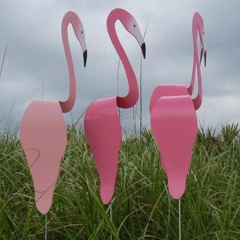 Garden Bird Flamingo