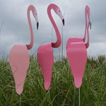 Garden Bird Flamingo