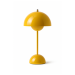 Scandinavian Design Lamp with Flower Glow