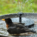 Floating Solar Fountain – No Electricity Required & Waterproof