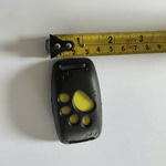 GPS Tracker for Cats – Real-Time Location Tracking Without Subscription