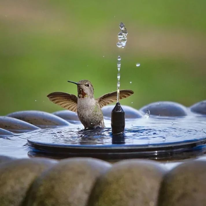 Floating Solar Fountain – No Electricity Required & Waterproof