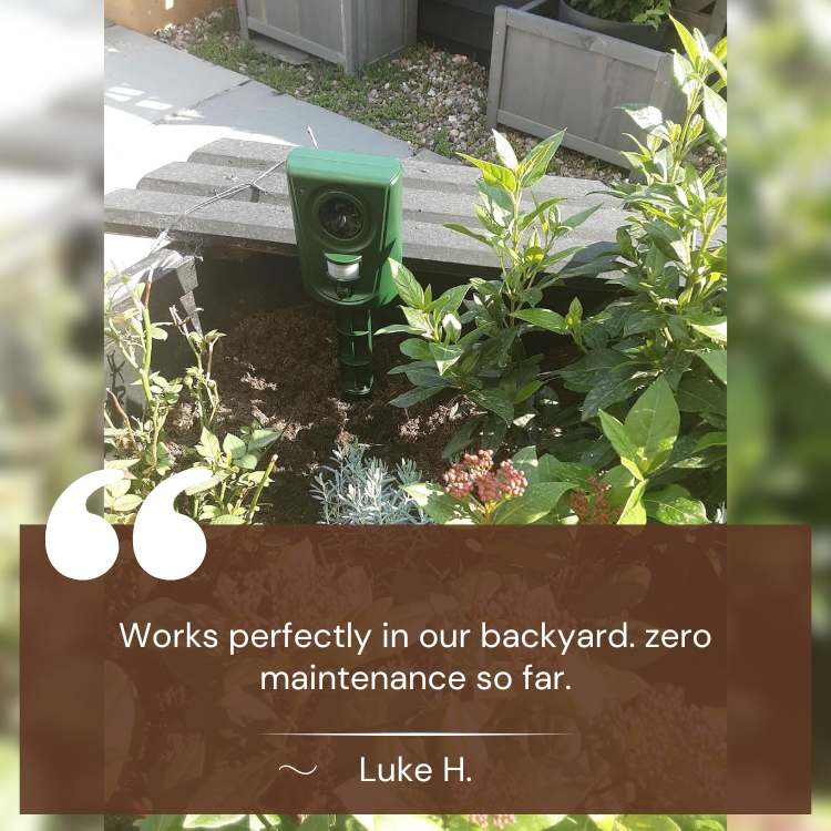 Smart Ultrasonic Cat Repellent