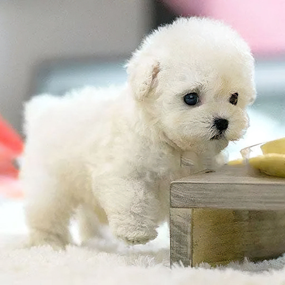 Sound-Activated Interactive Puppy Toy