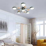 Contemporary LED Acrylic Iron Ceiling Light for Living Room