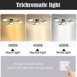 Contemporary LED Acrylic Iron Ceiling Light for Living Room