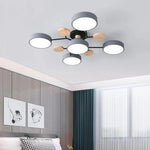 Contemporary LED Acrylic Iron Ceiling Light for Living Room
