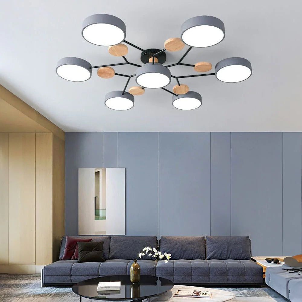 Contemporary LED Acrylic Iron Ceiling Light for Living Room
