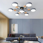 Contemporary LED Acrylic Iron Ceiling Light for Living Room
